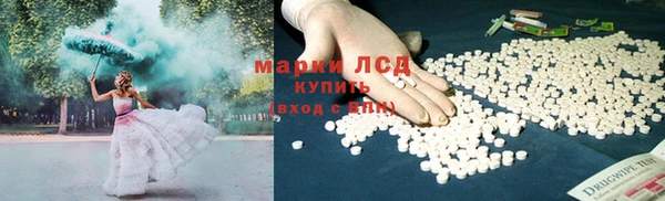 СК Абинск