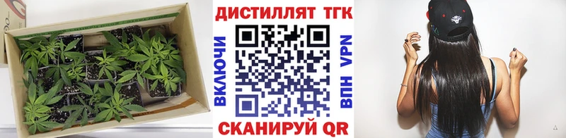 кракен зеркало  Нерчинск  ТГК вейп  как найти наркотики 