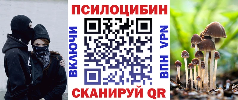 OMG ссылки Нерчинск нарко площадка клад Галлюциногенные грибы Magic Shrooms